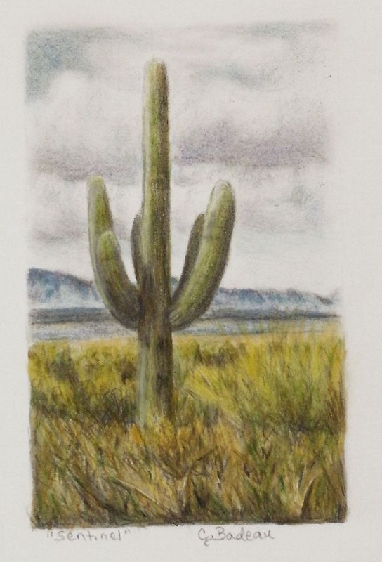 Desert Postcard